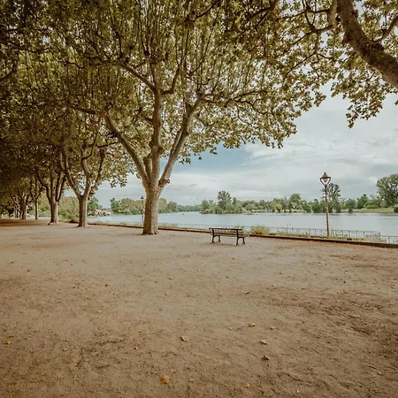 Maison Clim 3 Ch Bord Du Tarn Cours Exterieure 度假居 *